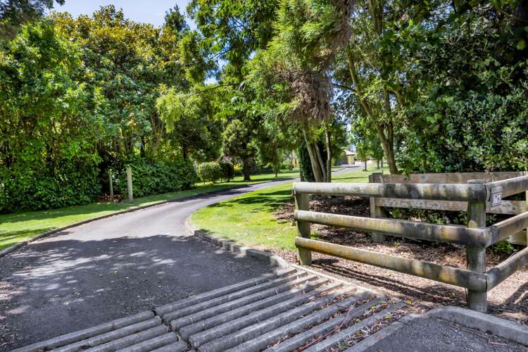 76 Wills Road Bell Block_57