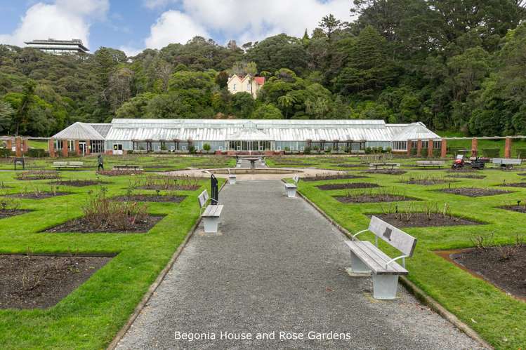 14 Kinross Street Kelburn_23