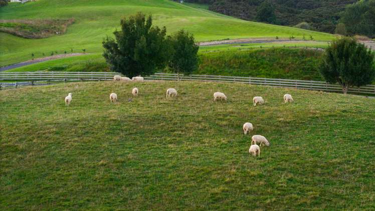 1 Ngaire Close Wainui_1