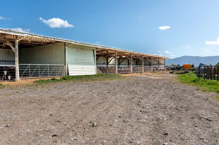 1807 Kahutara Road Kahutara_12