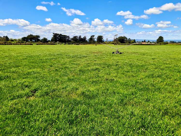 299 Cardiff Road Cardiff_20