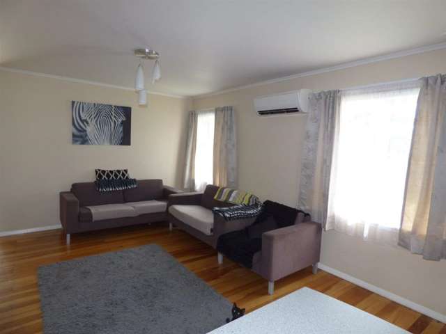 45 Te Kanawa Street Otorohanga_4