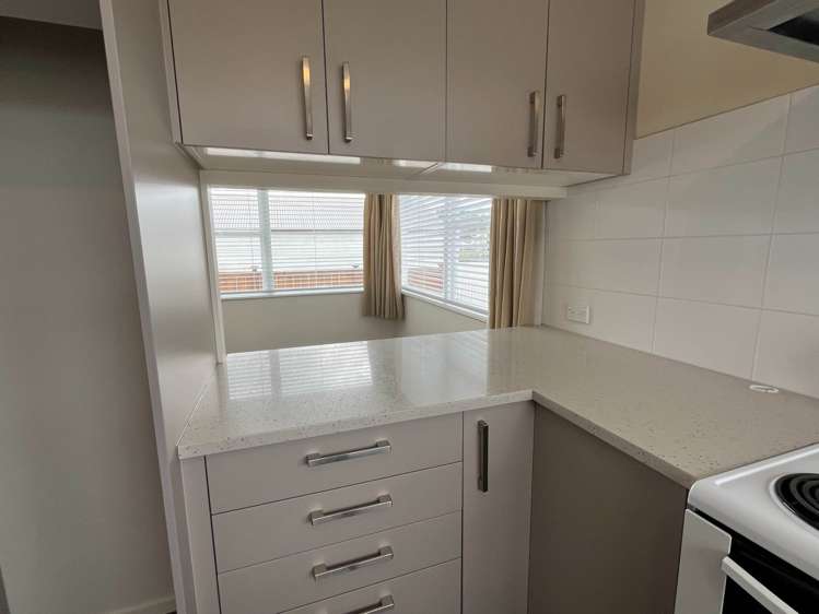 6 Knox Road Swanson_8