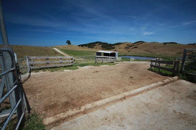 283 Oparakau Road Matakohe_12