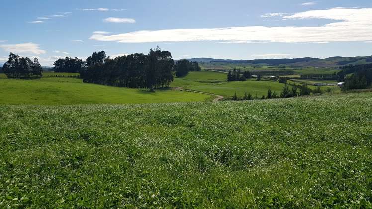 31 Windy Ridge Road Balclutha_20