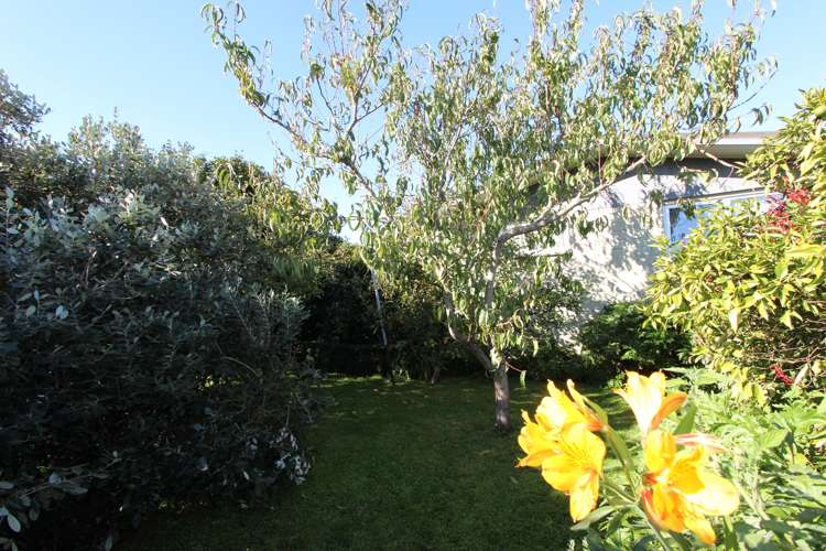 21 Shirtliff Street Riversdale_24