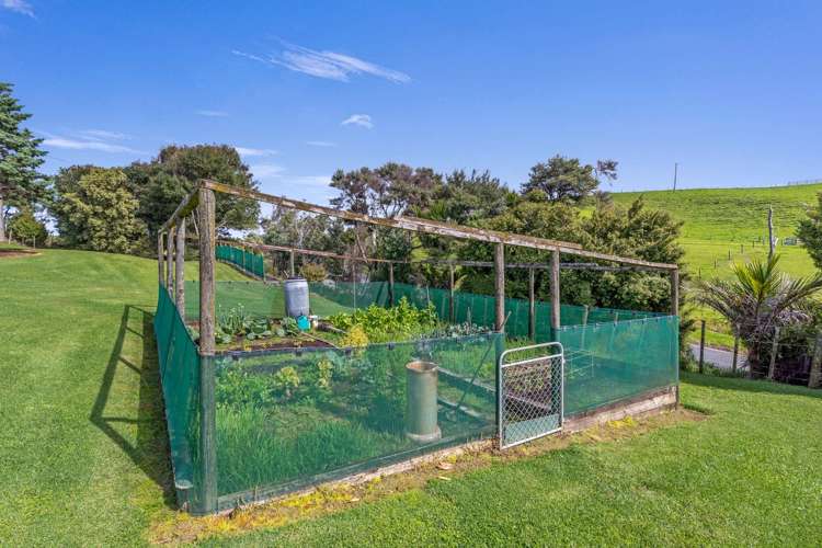 5 McLeod Road South Head Helensville_27