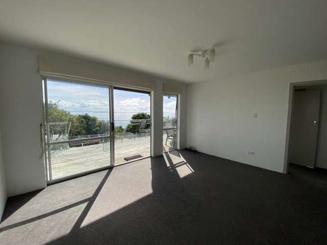 1428 Whangaparaoa Road Army Bay_3
