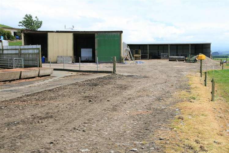 173 Anderson Road Eltham_12