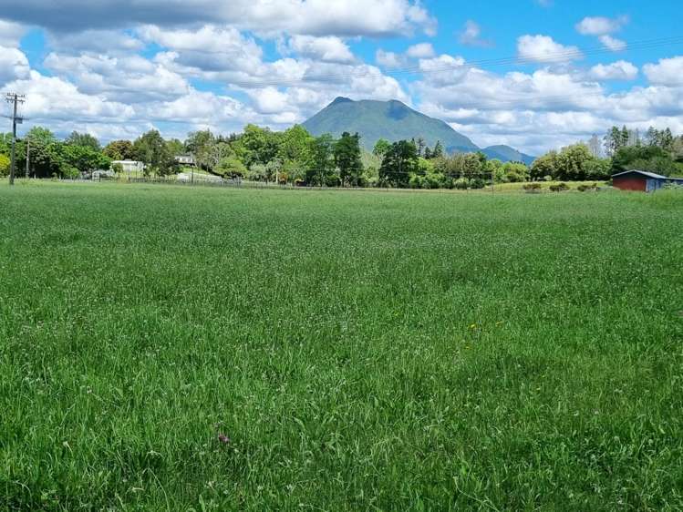 2/2 Hogg Road Onepu_2