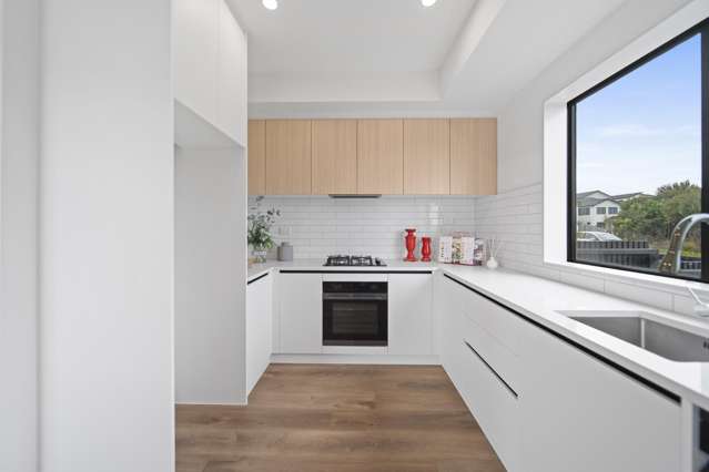 24 Hera Street Flat Bush_2