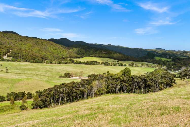 1447 Cove Road Langs Beach_10