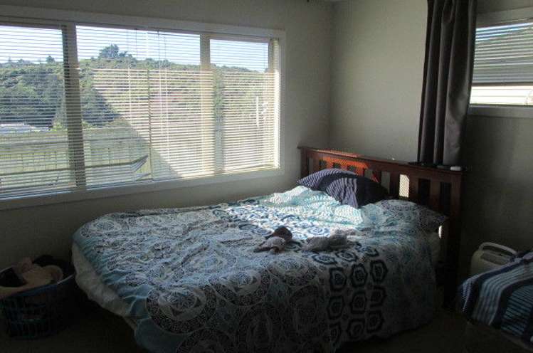 1 Catlins Glen Aotea_7