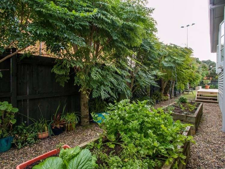 45 Regina Street Westmere_17