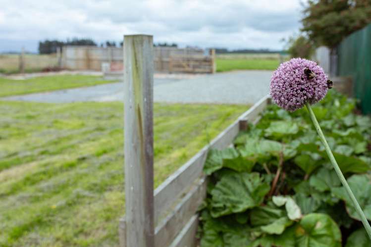 3 Murdoch Place Mayfield_14