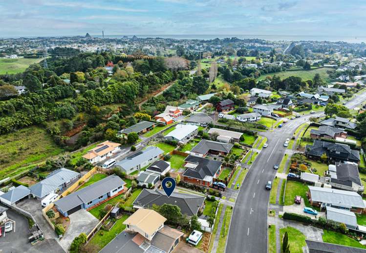 33 Heta Road Highlands Park_35