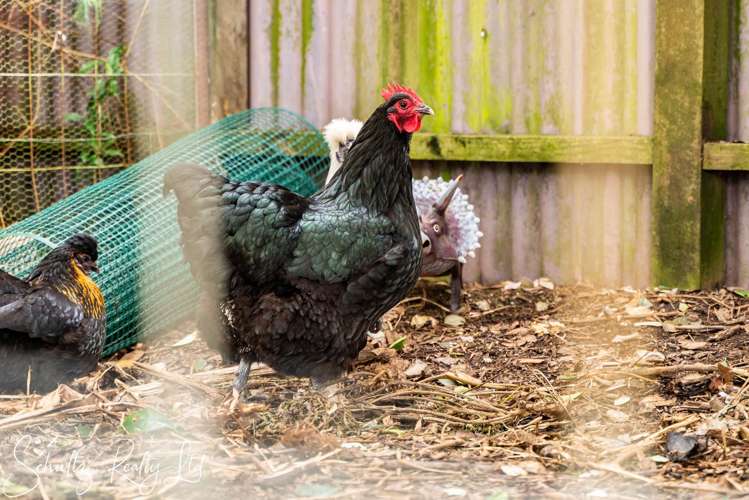 70 Jellicoe Road Ruawai_8