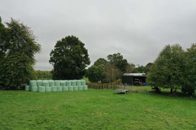 695A Gordonton Road Gordonton_3