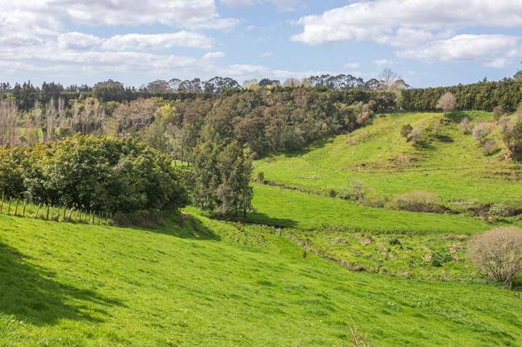 231 Walford Road Aongatete_43