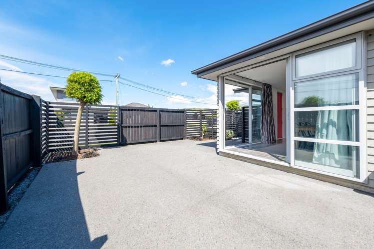 31 Seddon Street Sydenham_22