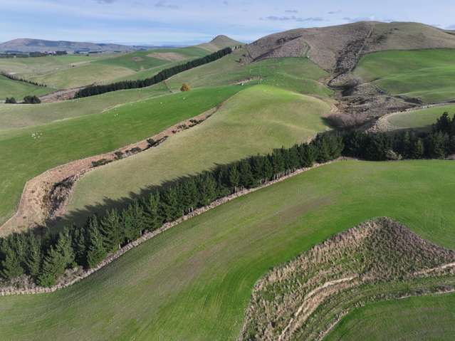 3 Conical Hill Road Gore_4