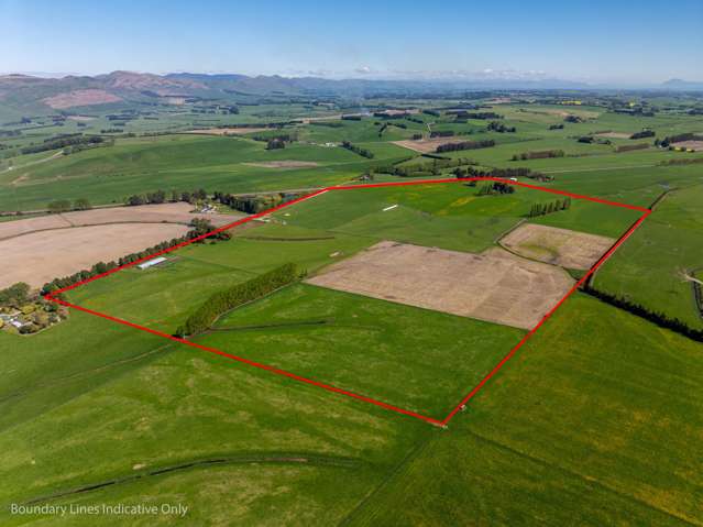 Flat and fertile at Mandeville