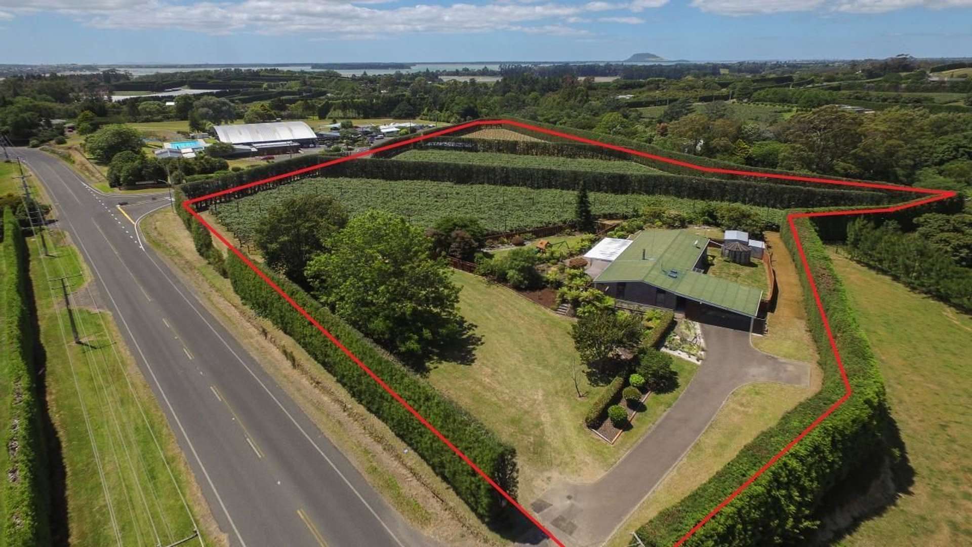 78 Plummers Point Road Whakamarama_0