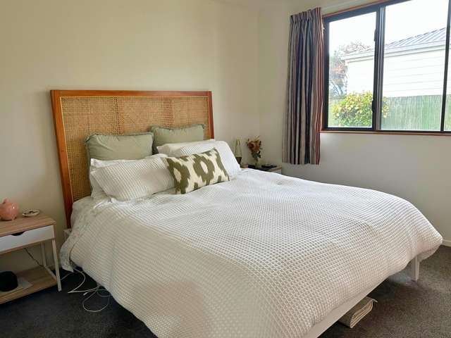 12 Solway Drive Witherlea_4