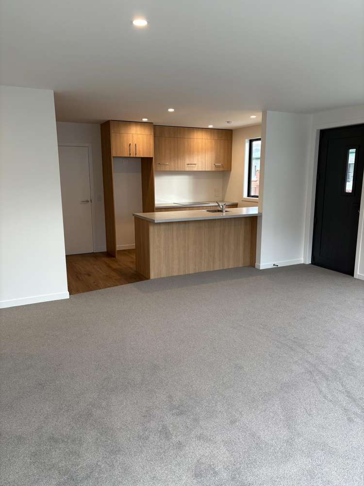 19B Killarney Street Alexandra_6