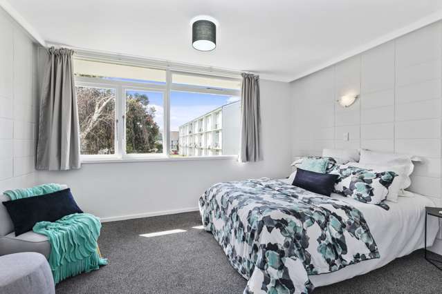 11f Britannia Street Petone_4