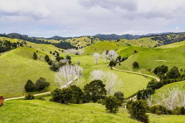 570 and 698 Whananaki South Road Whananaki_4