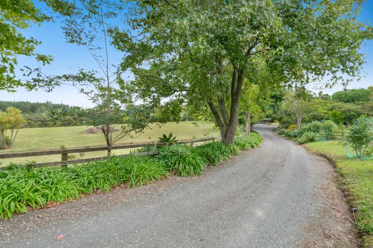 786 South Head Road South Head_24