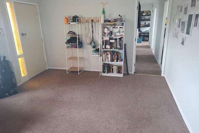 61B McKay Drive 11390_3