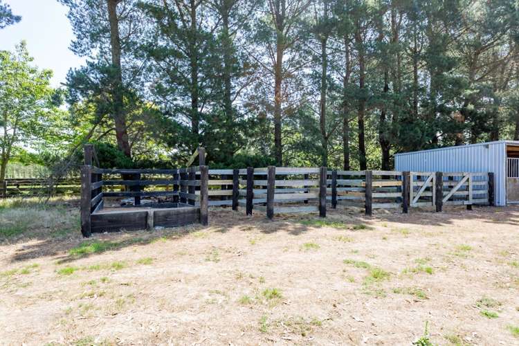 942 Ellesmere Junction Road Burnham_21