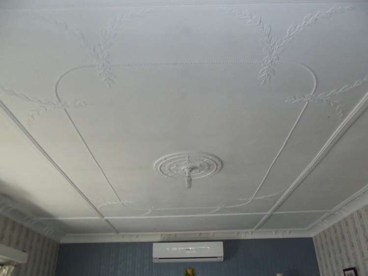 8 Nelson Crescent Napier South_15