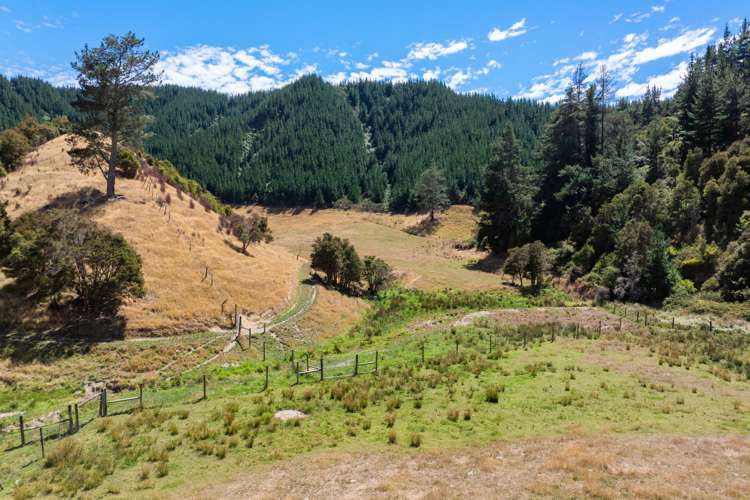 407 Onamalutu Road Wairau Valley_52