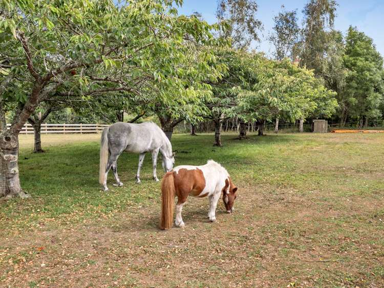 48A Simpson Road Westmere_1