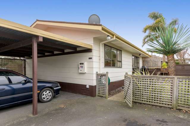 395a Ngatai Road Bellevue_2