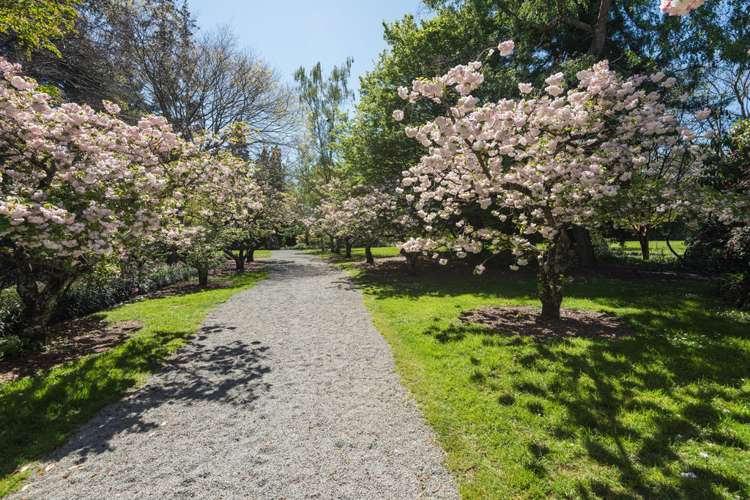 2/176 The Ridgeway Stoke_21