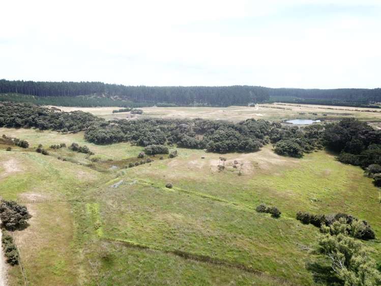 96 Mcmanus Road Houhora_13