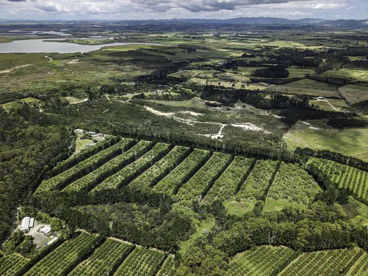 377 Paparore Road Kaitaia_34