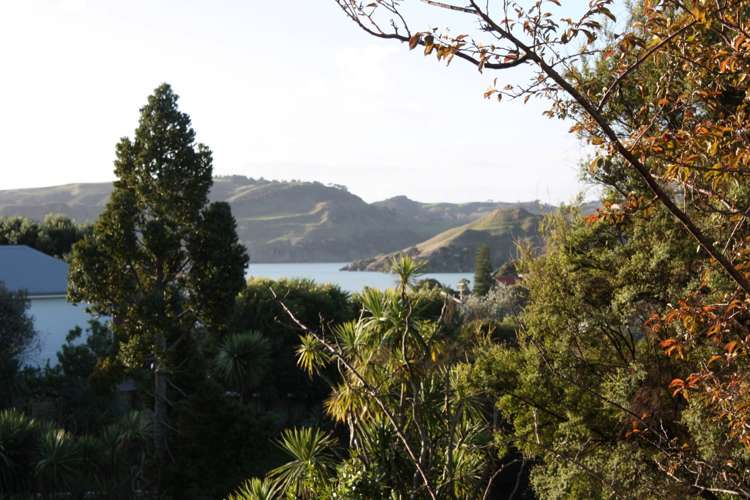 44b Cross Street Raglan_9