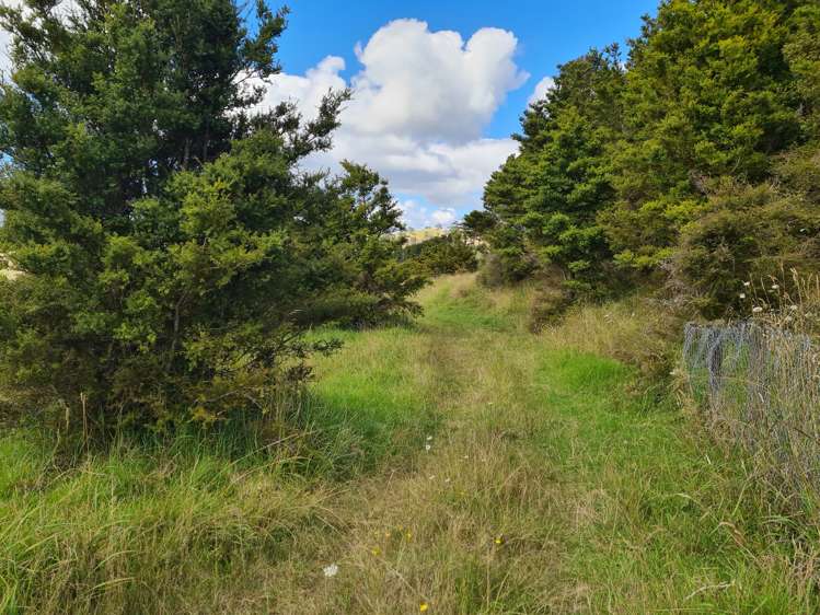 304 Arapaoa Road Tinopai_25