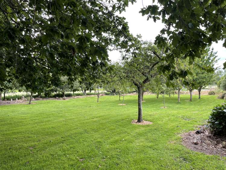 147 Chicory Road Inch Clutha_6