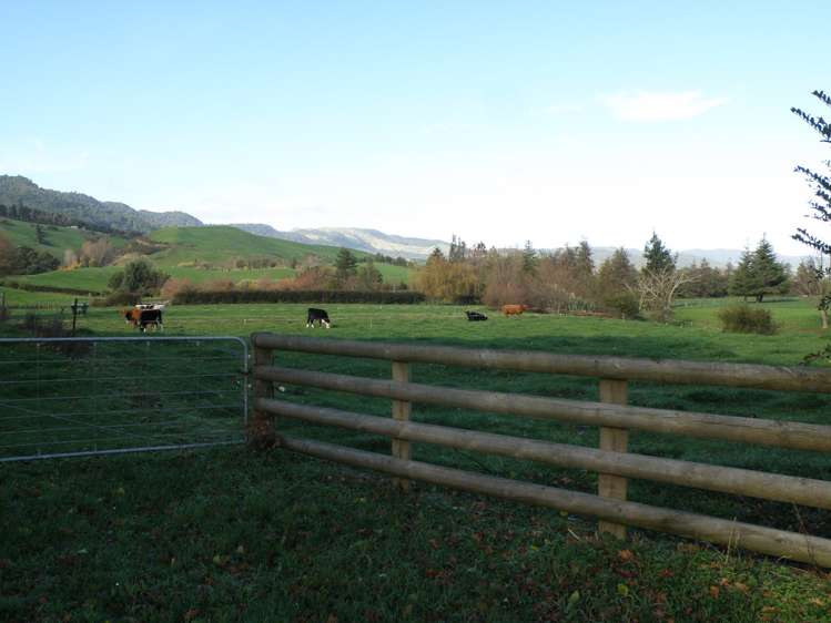 84 Old Te Aroha Road Te Poi_18