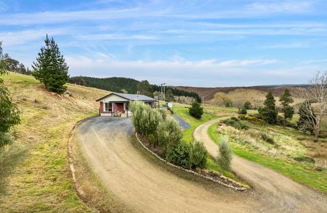 995 Berwick Road Berwick Forest_2