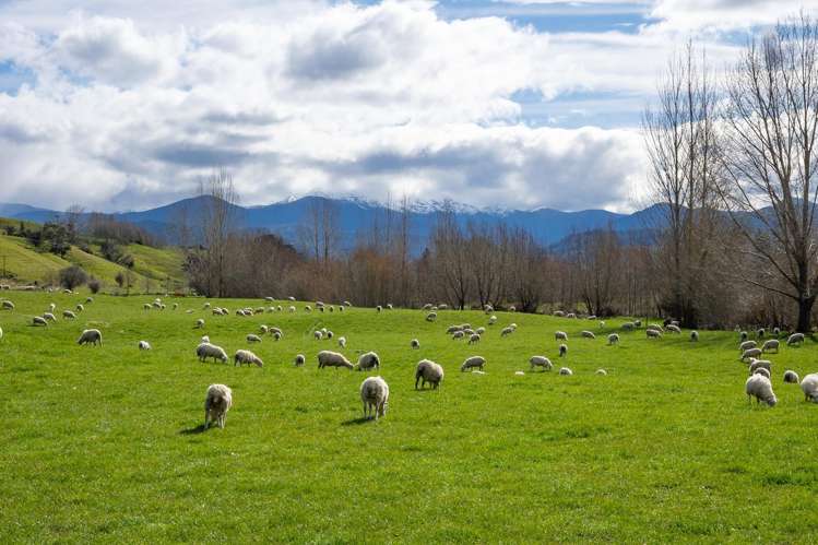 121 Win Valley Road Dovedale_1