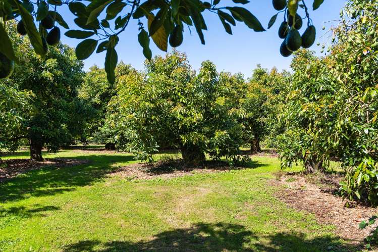 42 Ferry Road Waerenga-A-Hika_21