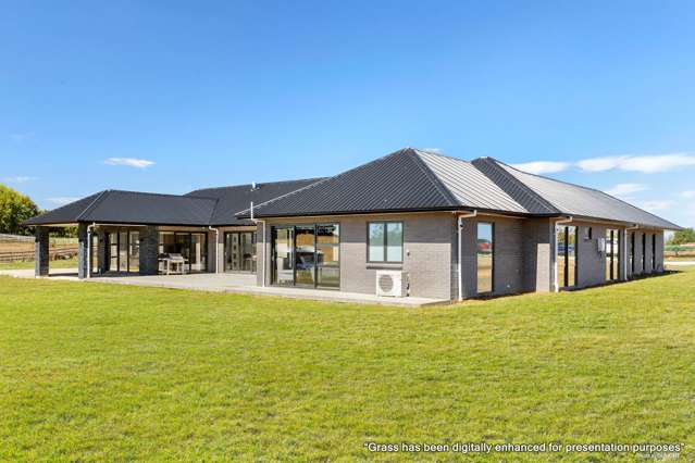 Spacious Dual-Living Oasis in Karaka