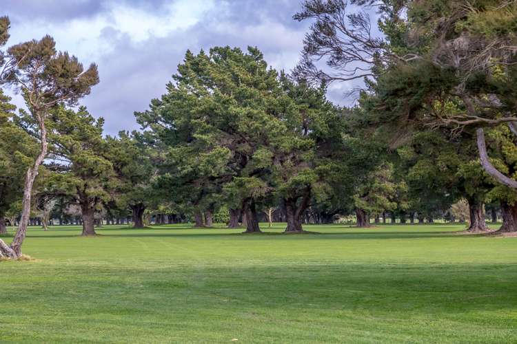 23 Viles Road Featherston_10